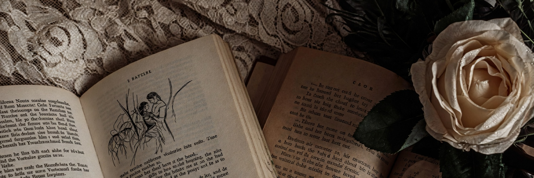 header image