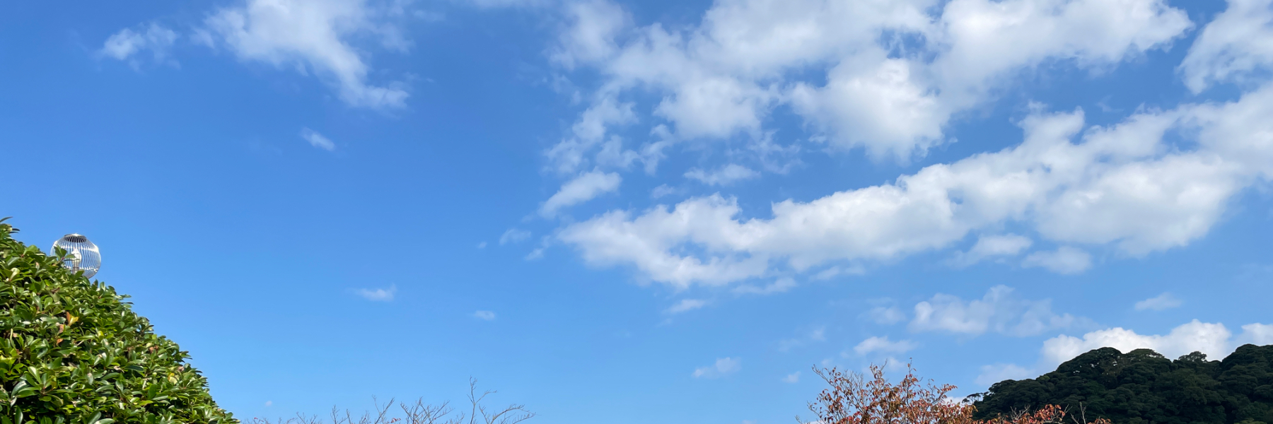 header image