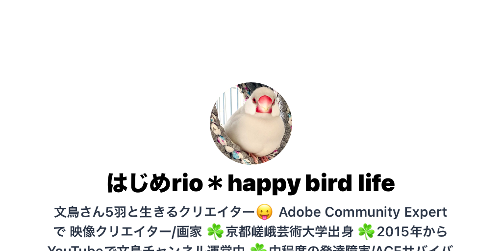大学、anime