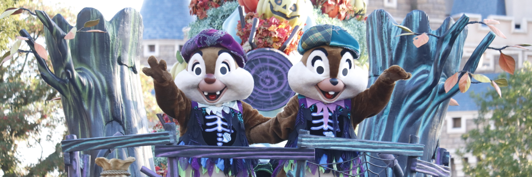 header image