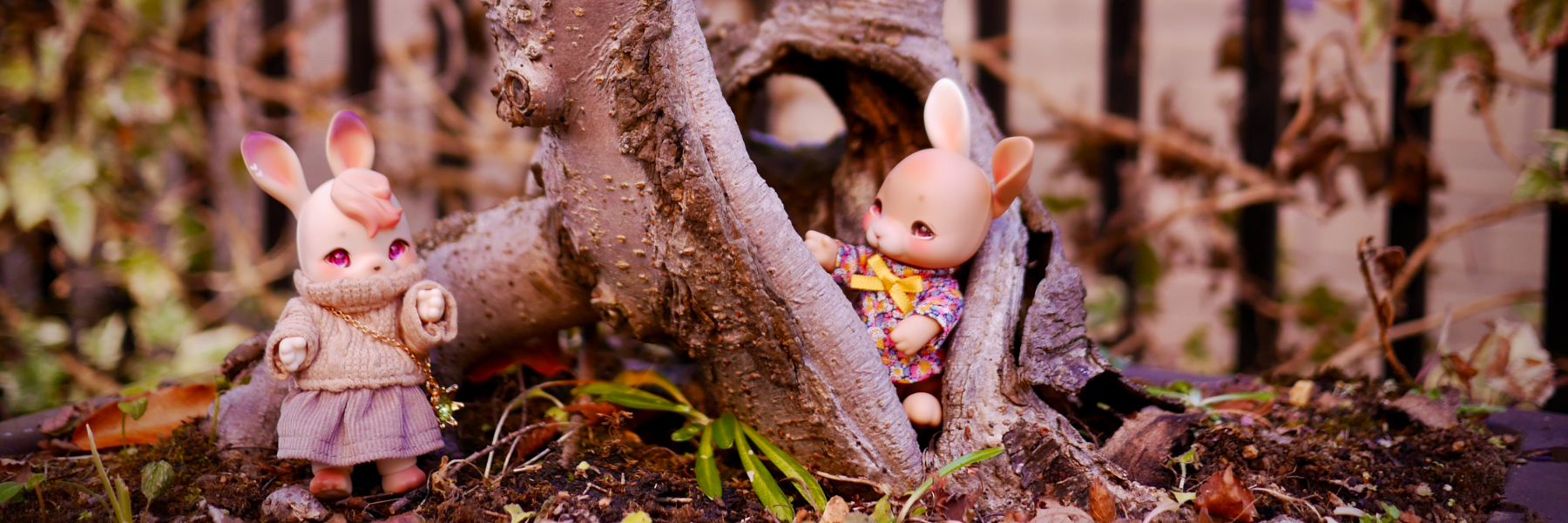 header image