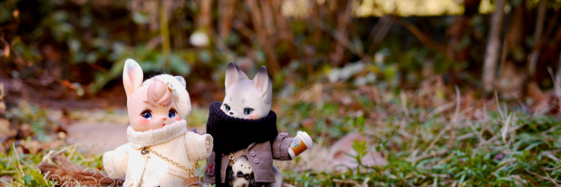 header image