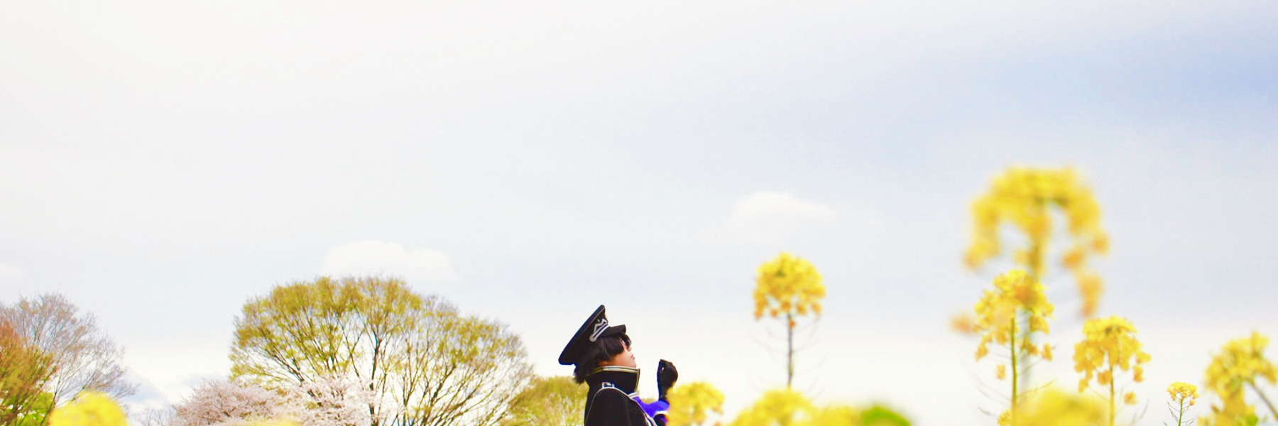 header image