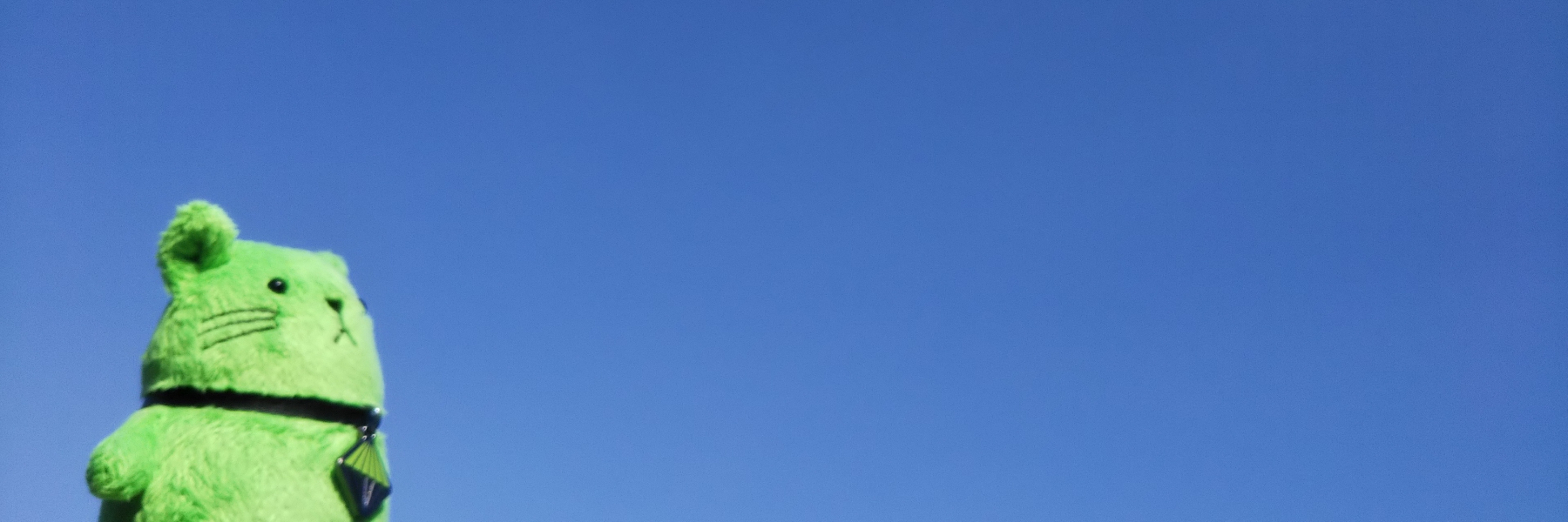 header image