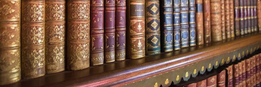 header image