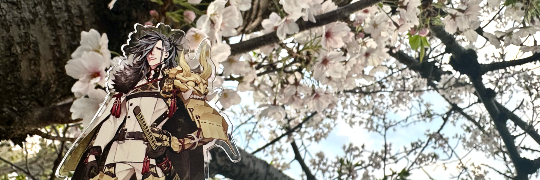 header image