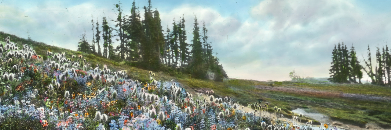 header image