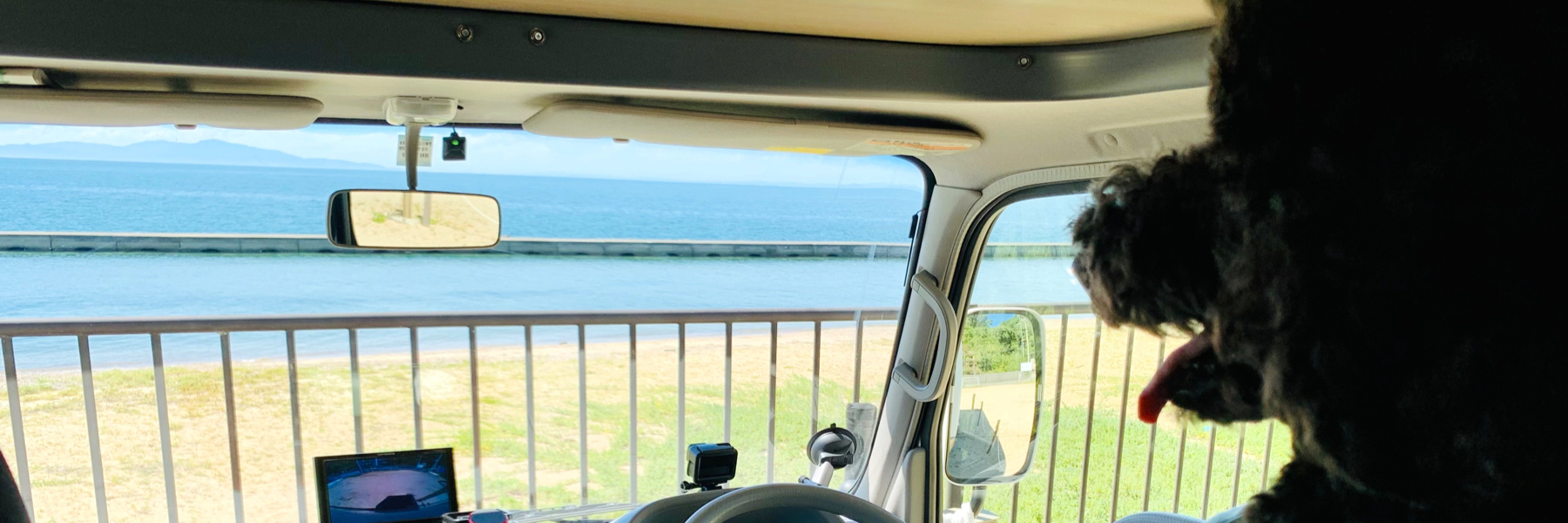 header image