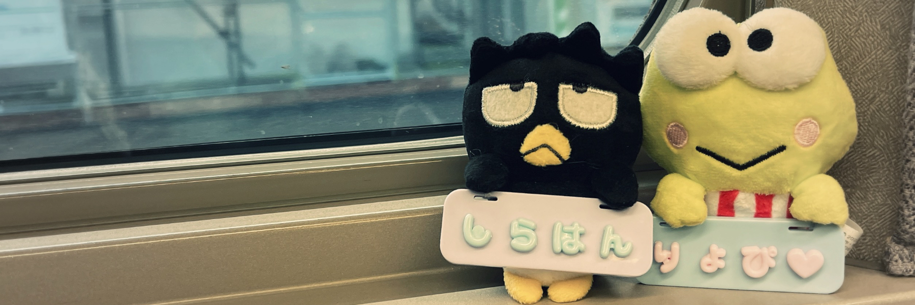 header image
