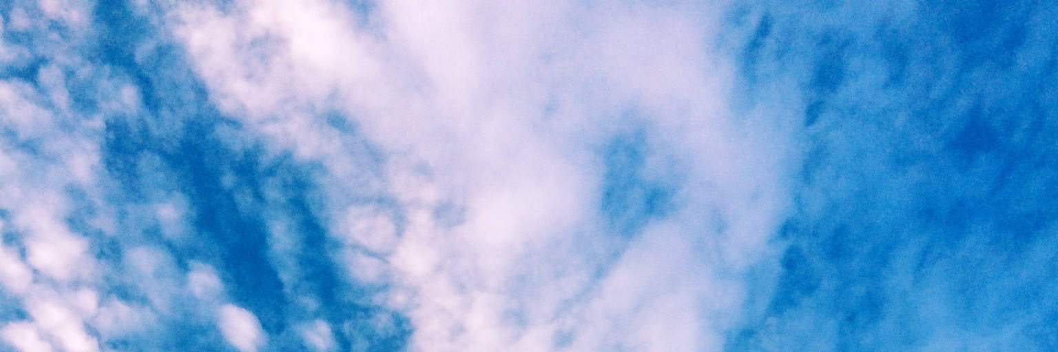 header image