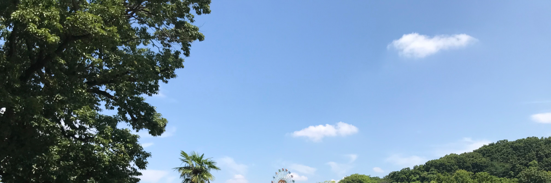 header image
