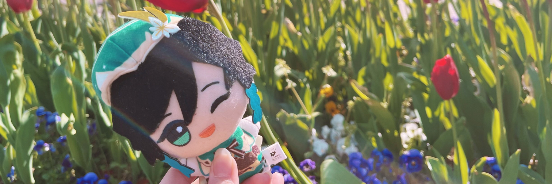header image
