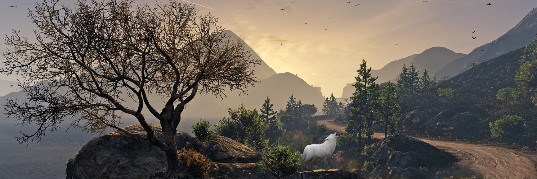 header image