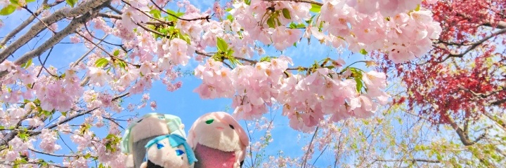 header image