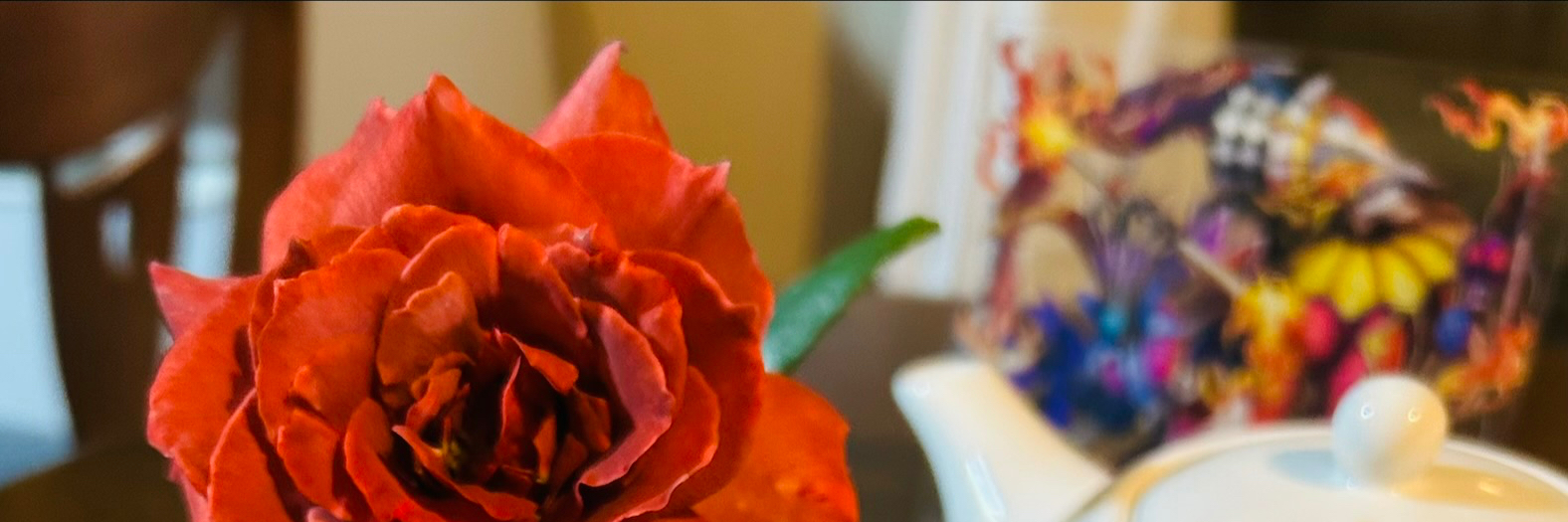 header image