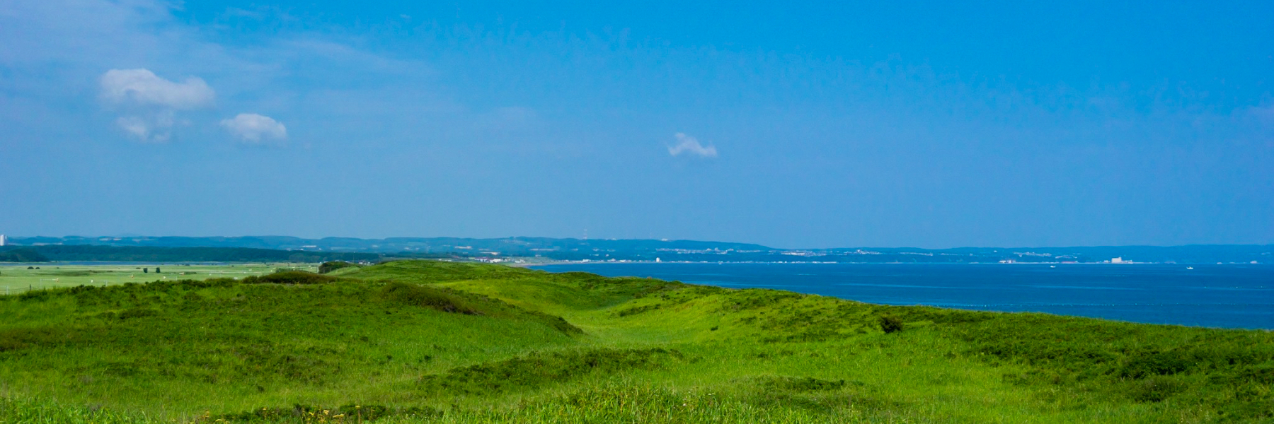 header image