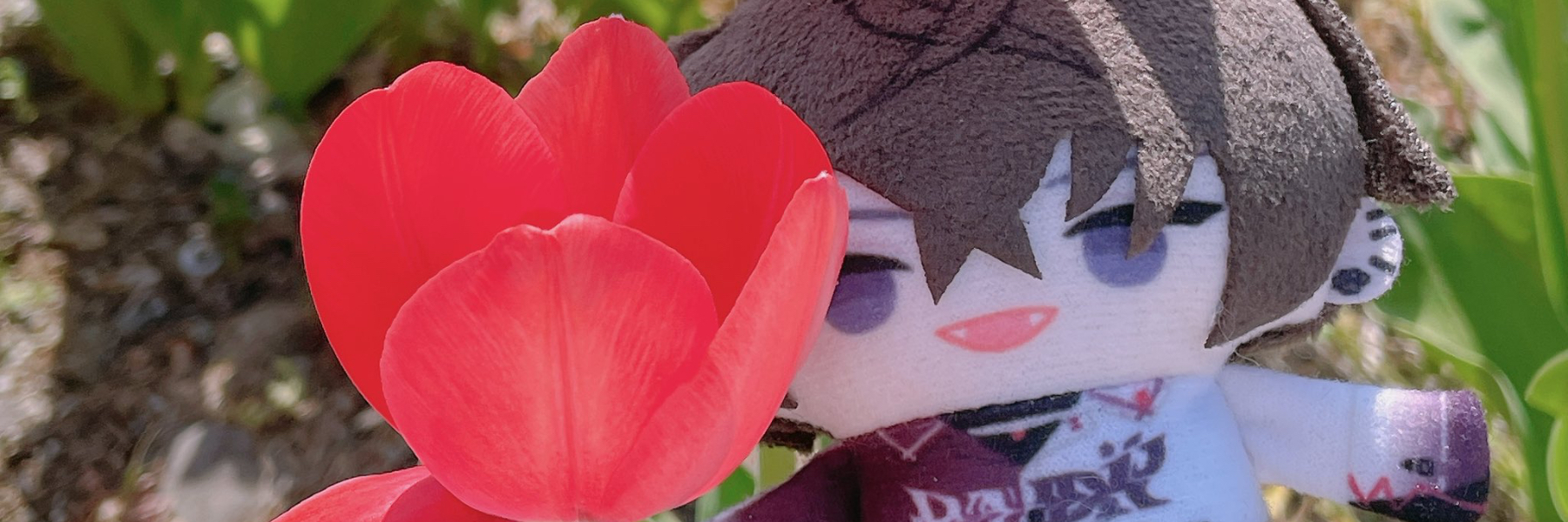 header image