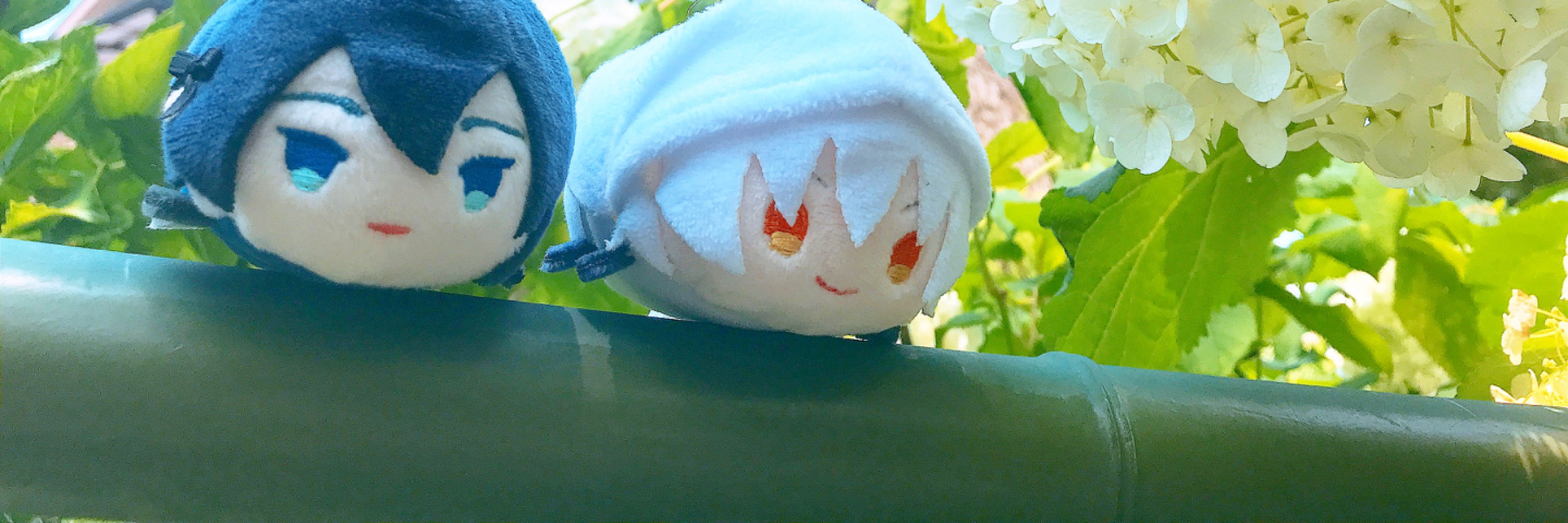 header image