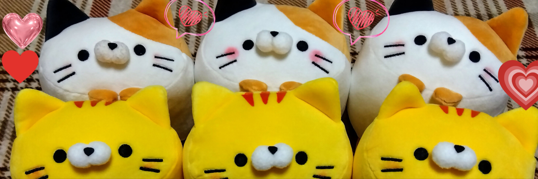 header image