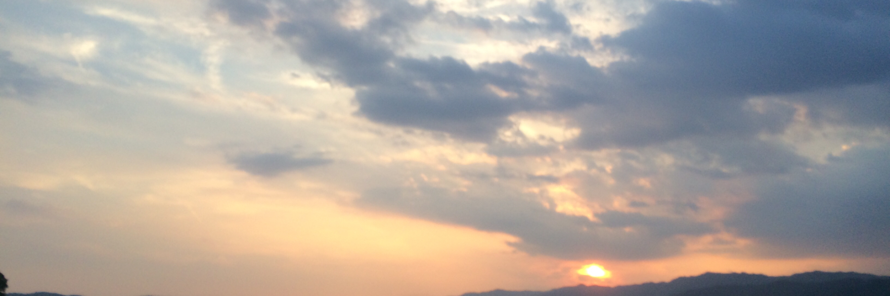 header image