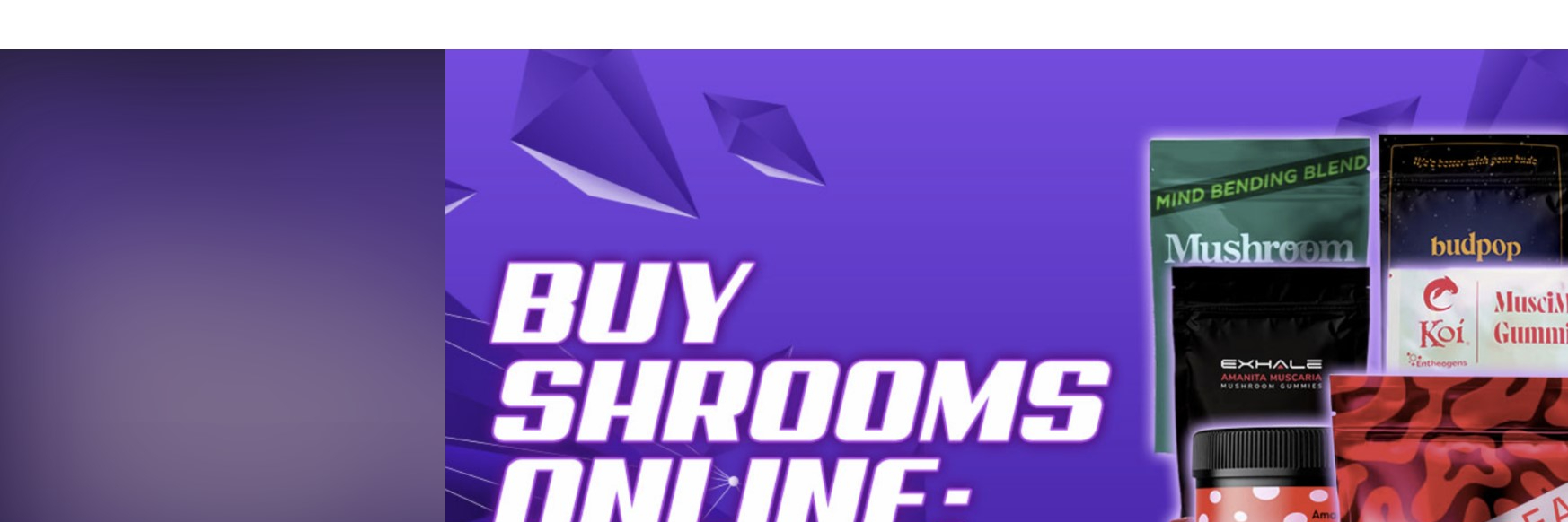 header image