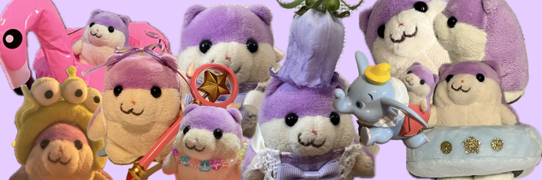 header image