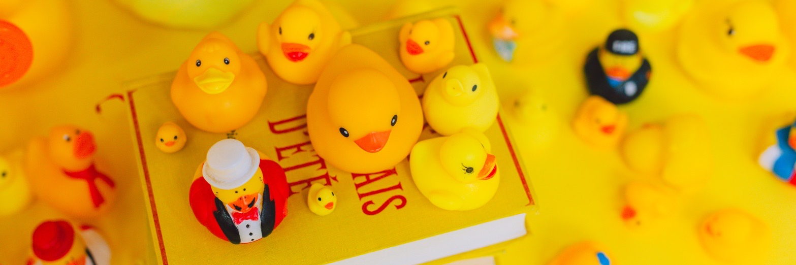 header image
