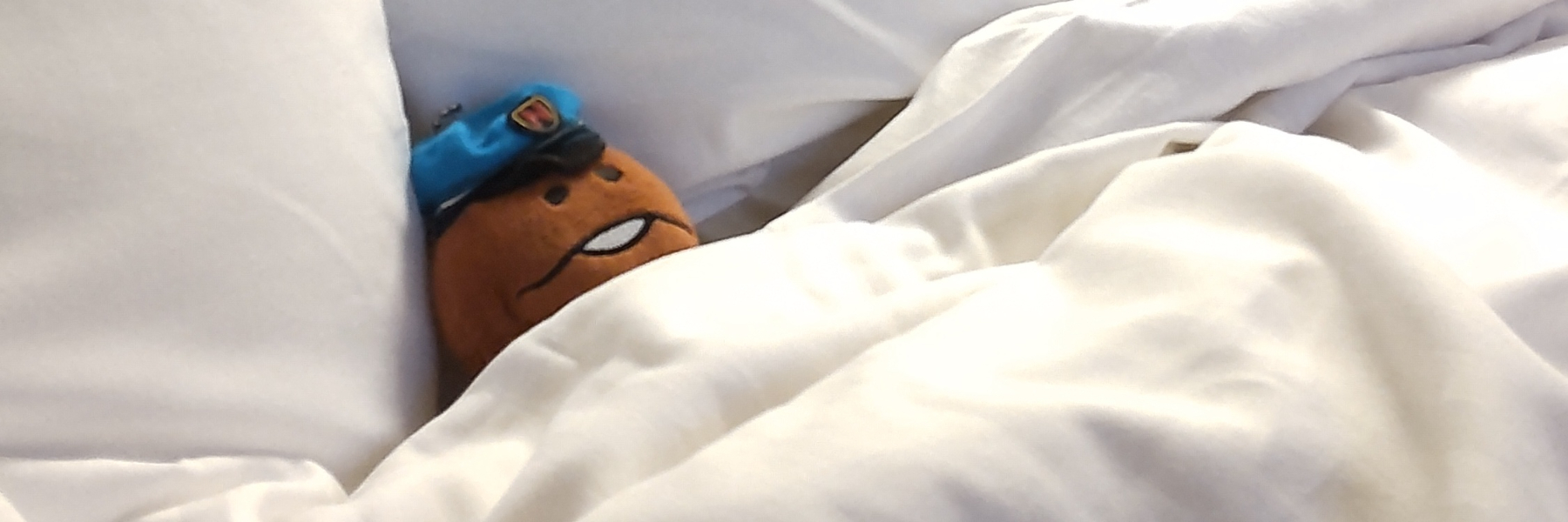 header image