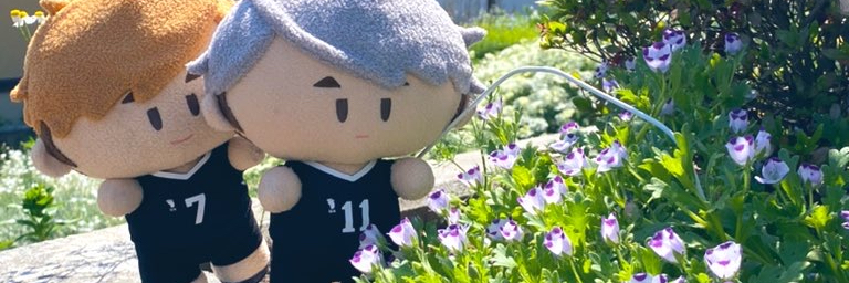 header image