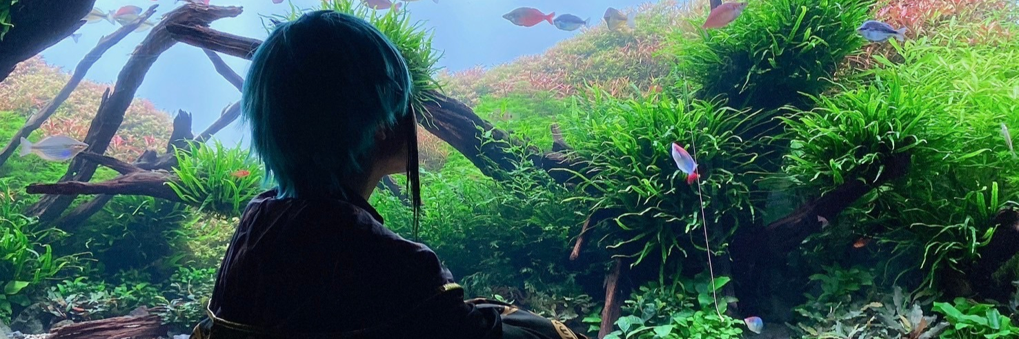 header image