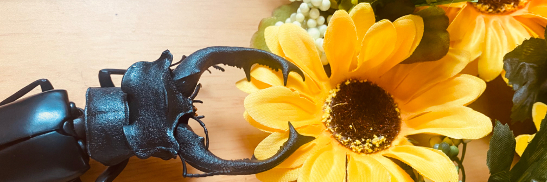header image