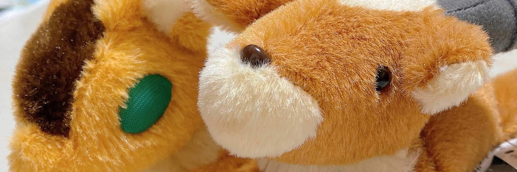 header image