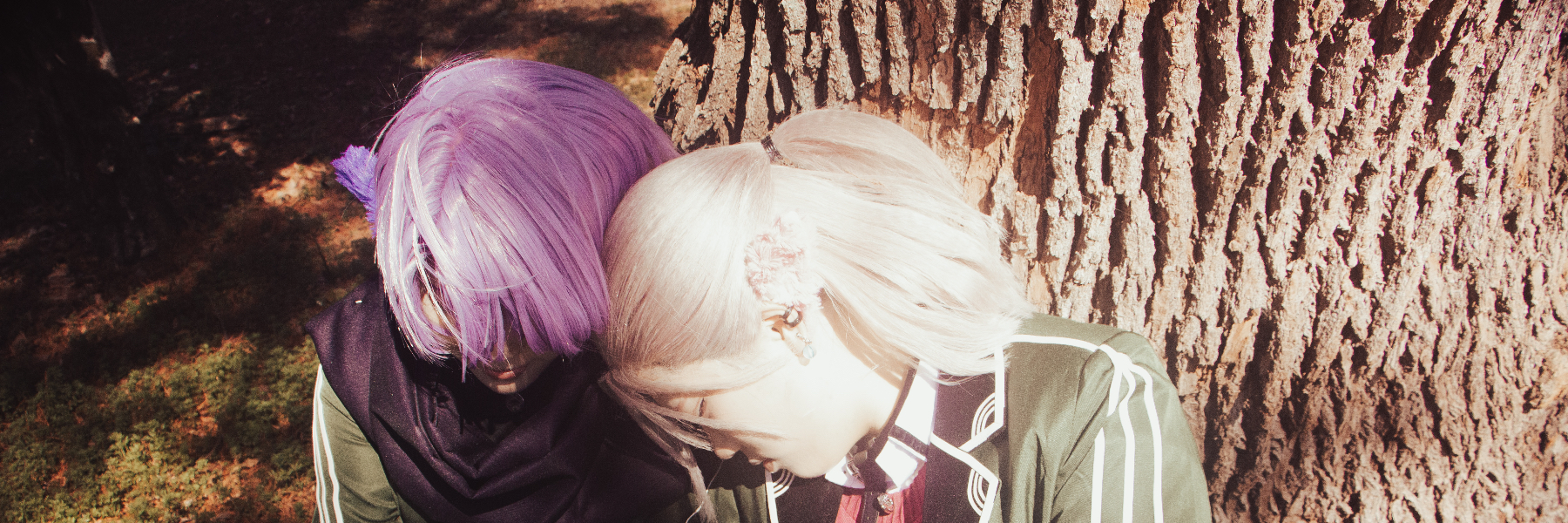 header image