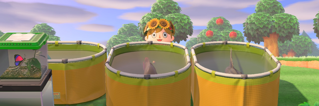 header image