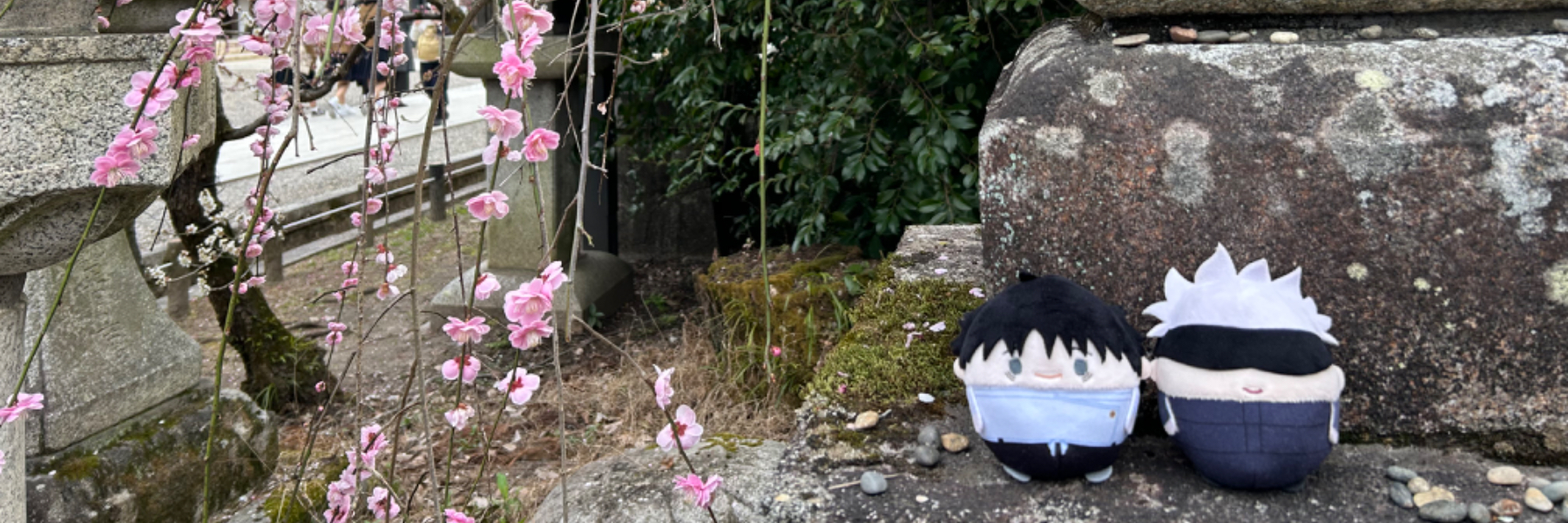 header image