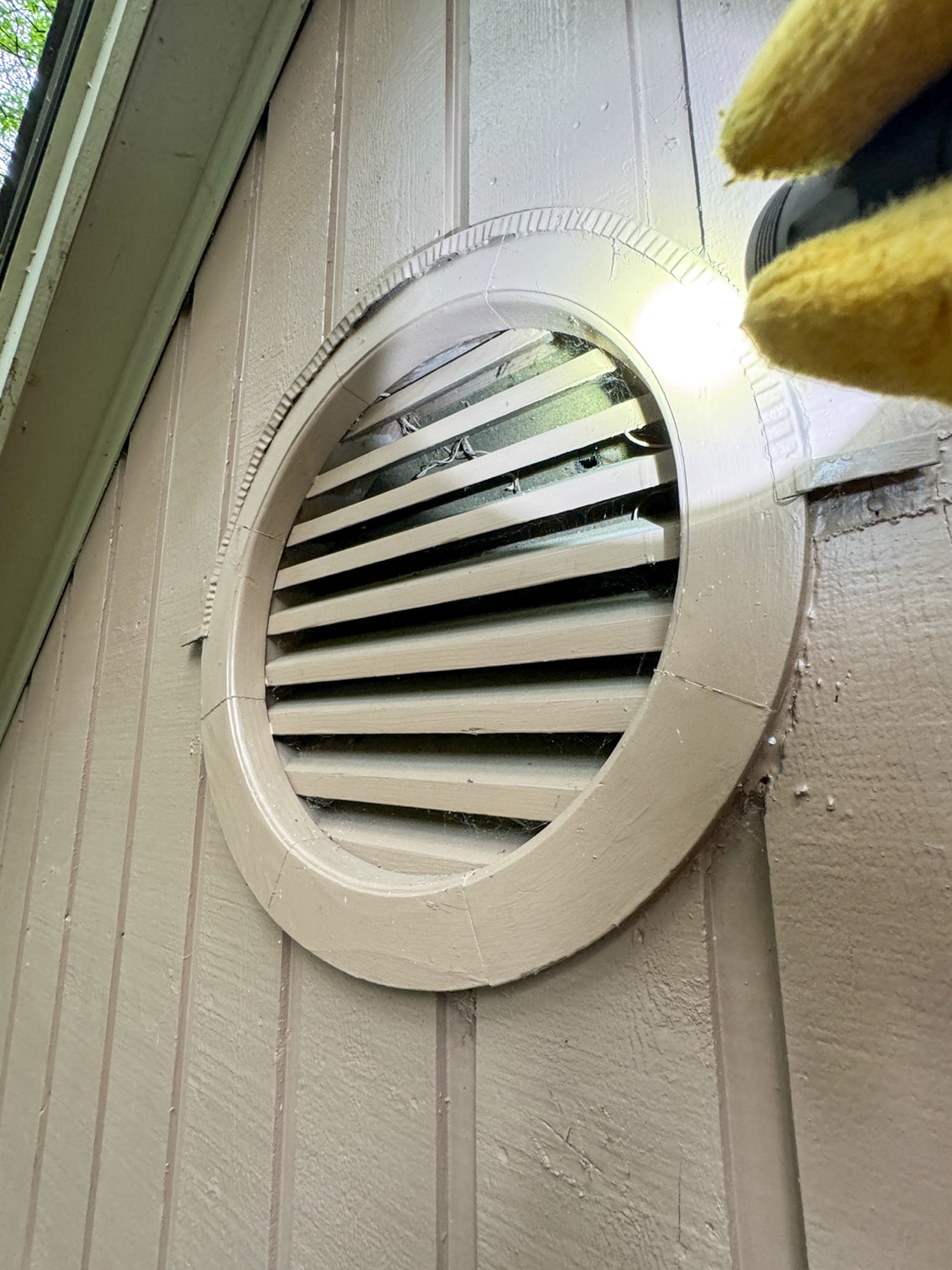 Decorative gable vent with potential entry points for animals