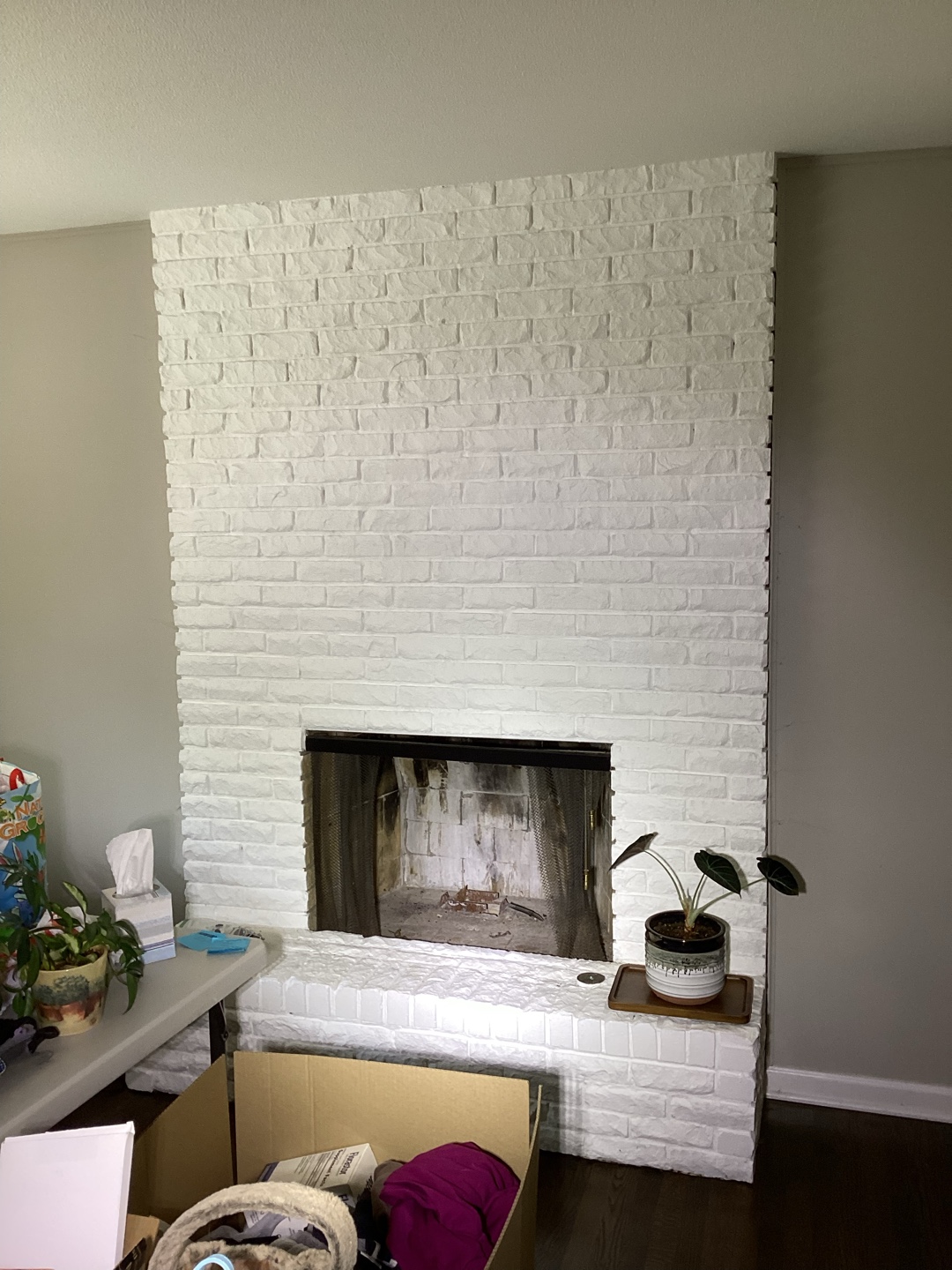 Before cleaning chimney at Globespec