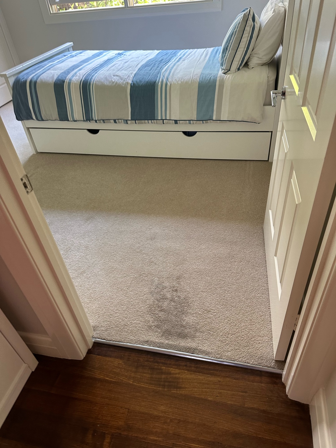 The transformed carpet after cleaning