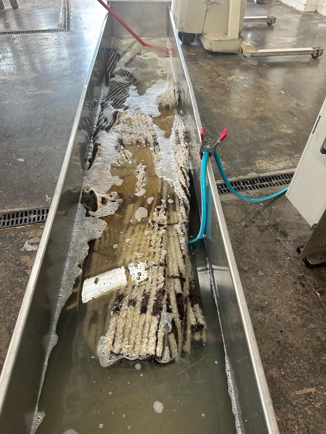 Rug submerged in soapy water for cleaning