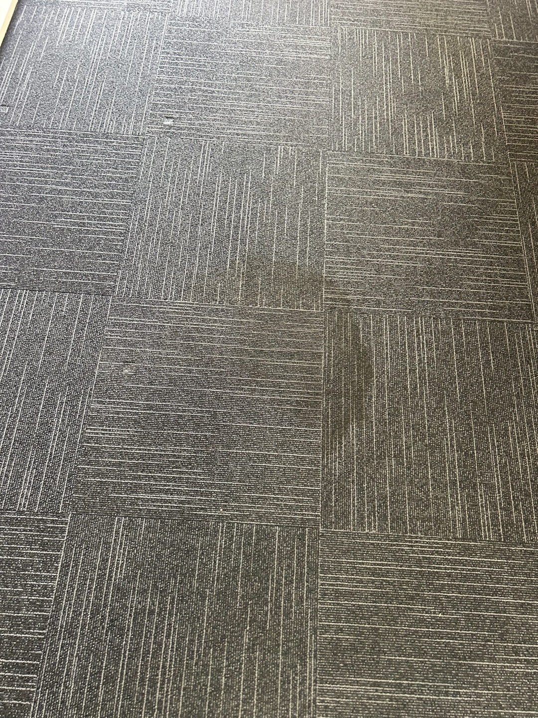Cleaned section of commercial carpet flooring showing no visible stains