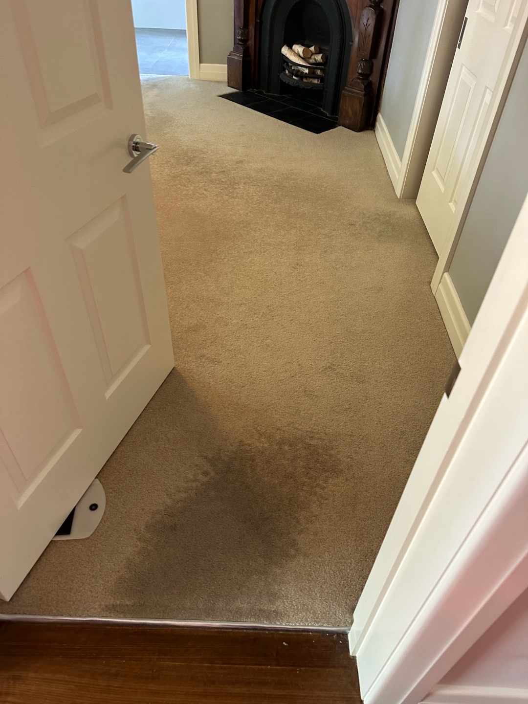 Our team preparing for carpet cleaning