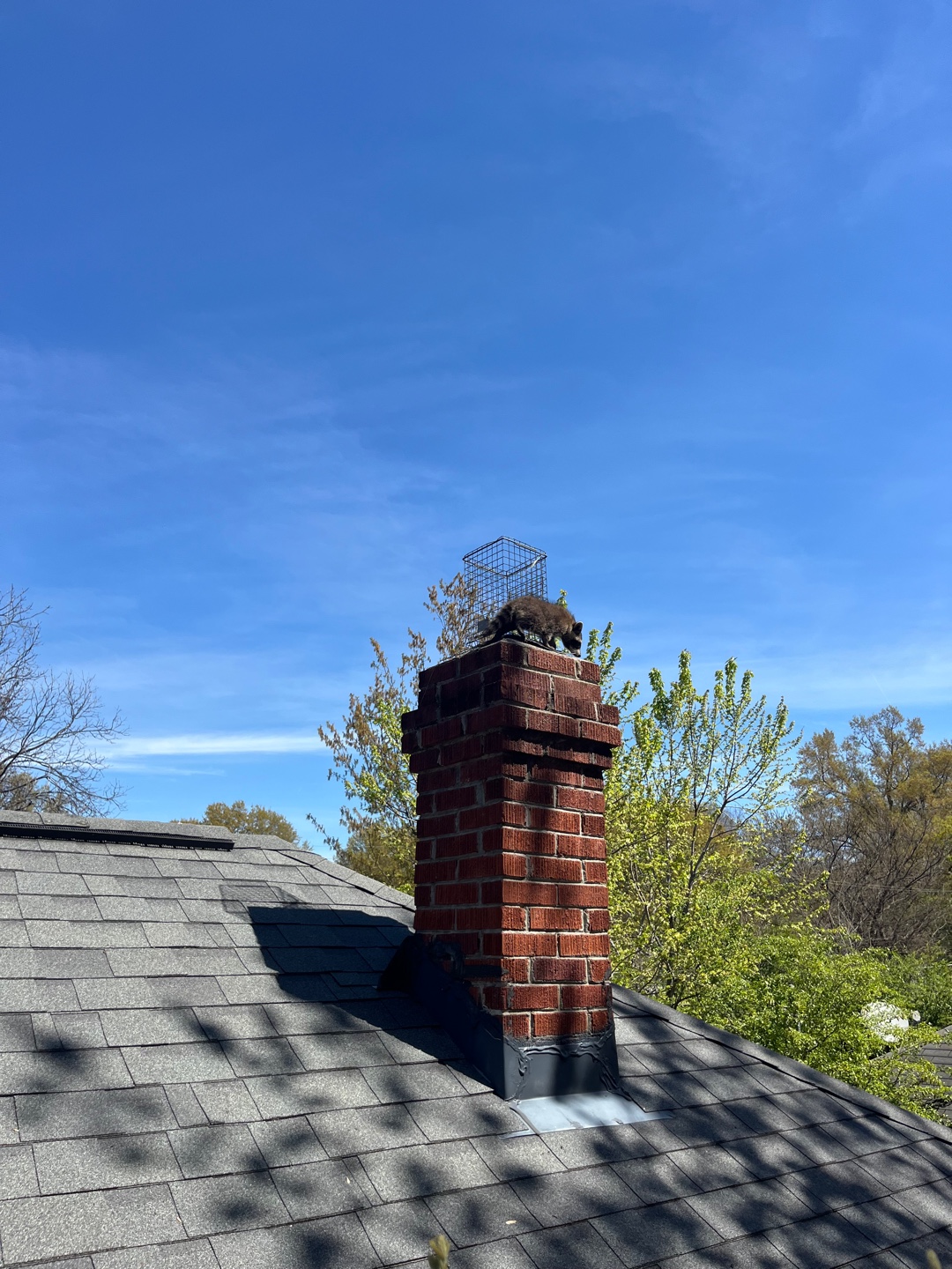 Metal wire cage on red brick chimney