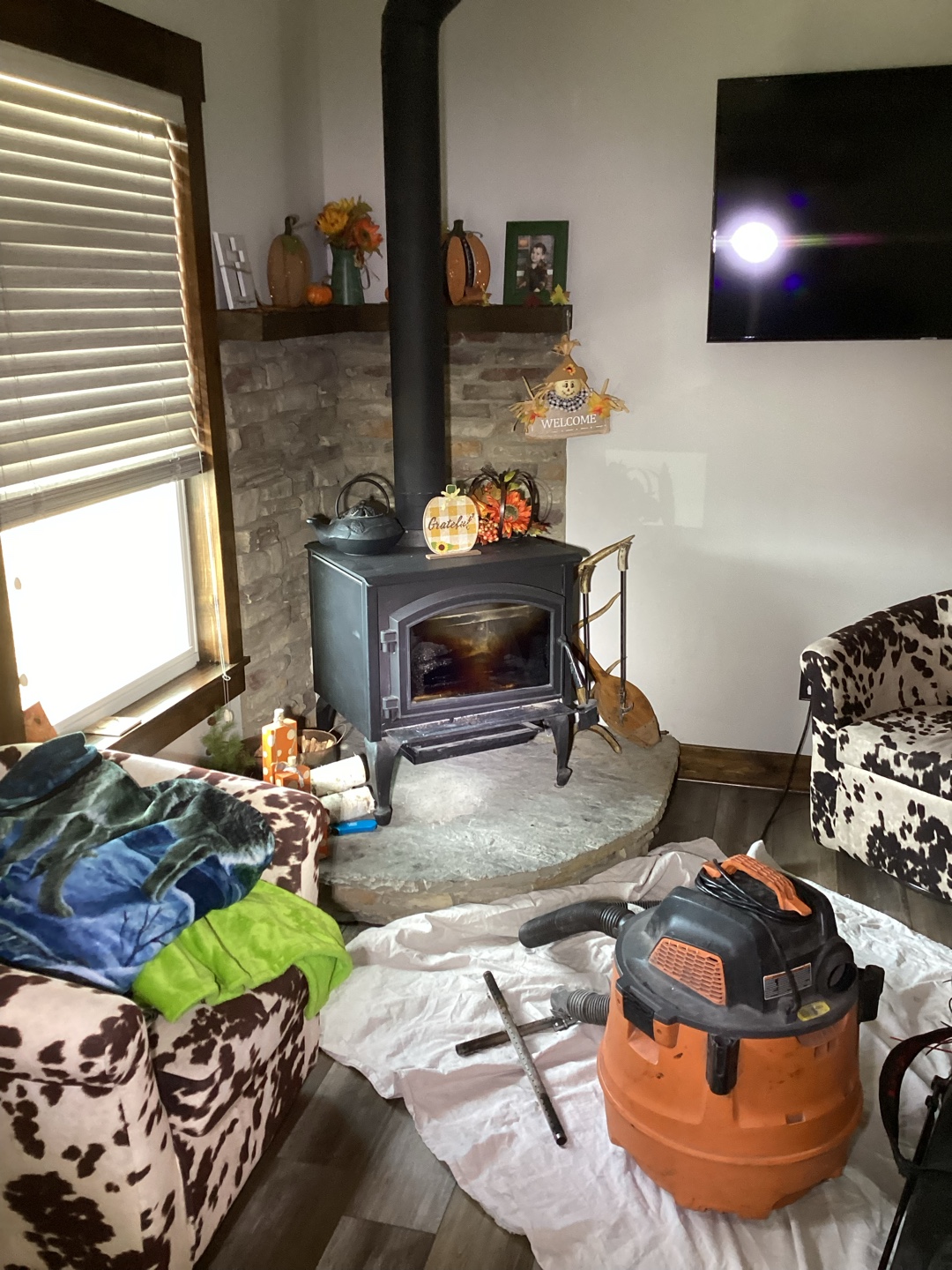 Cozy living room with wood-burning stove and rustic decor
