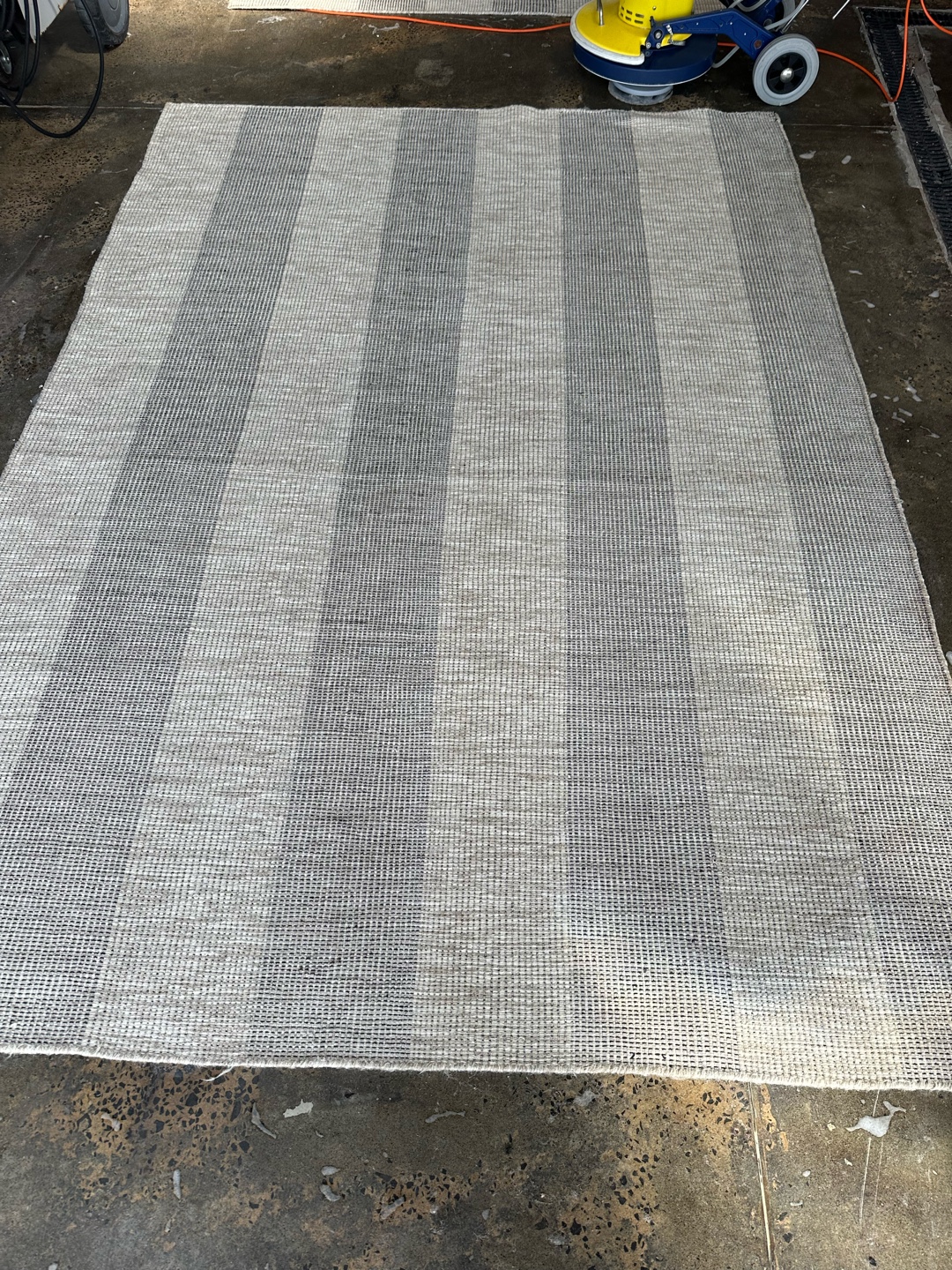 Flat wave woollen rug after cleaning