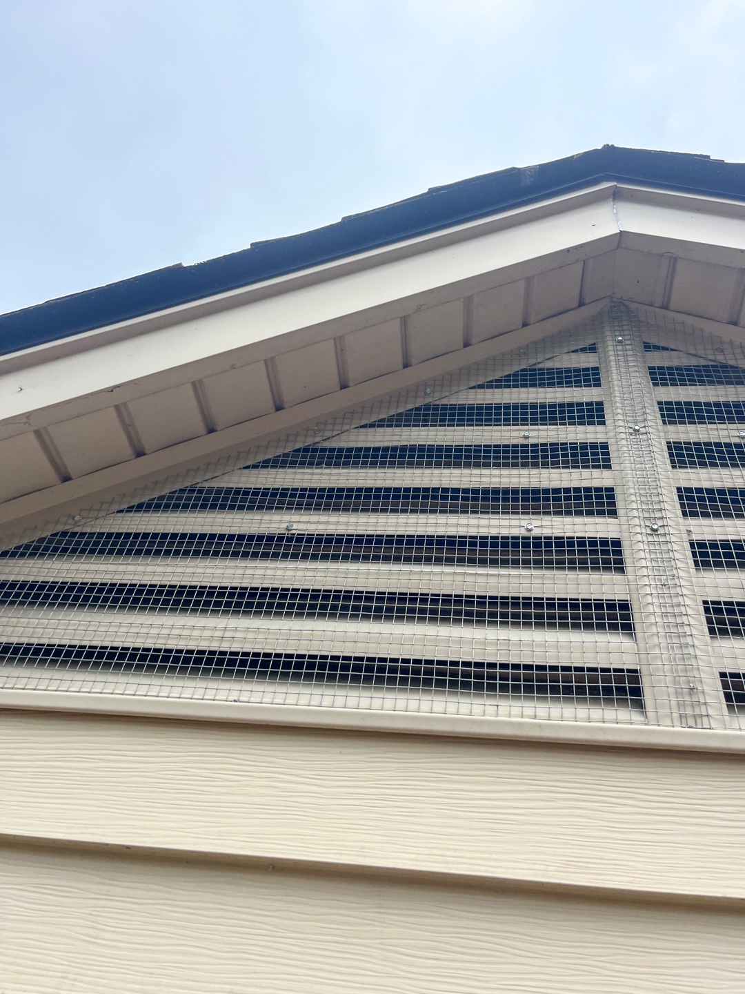 Heavy-duty animal guard installed on attic vent