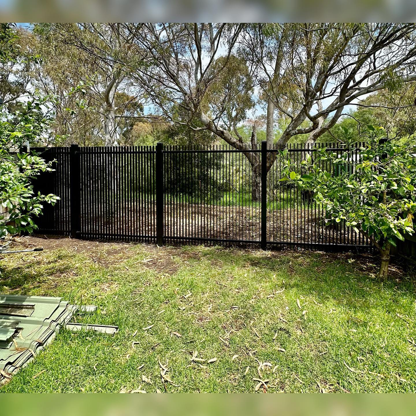 A black metal fence with vertical bars spans across a grassy backyard area