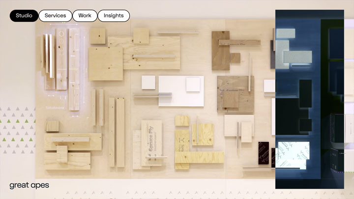 Thumbnail of Great Apes