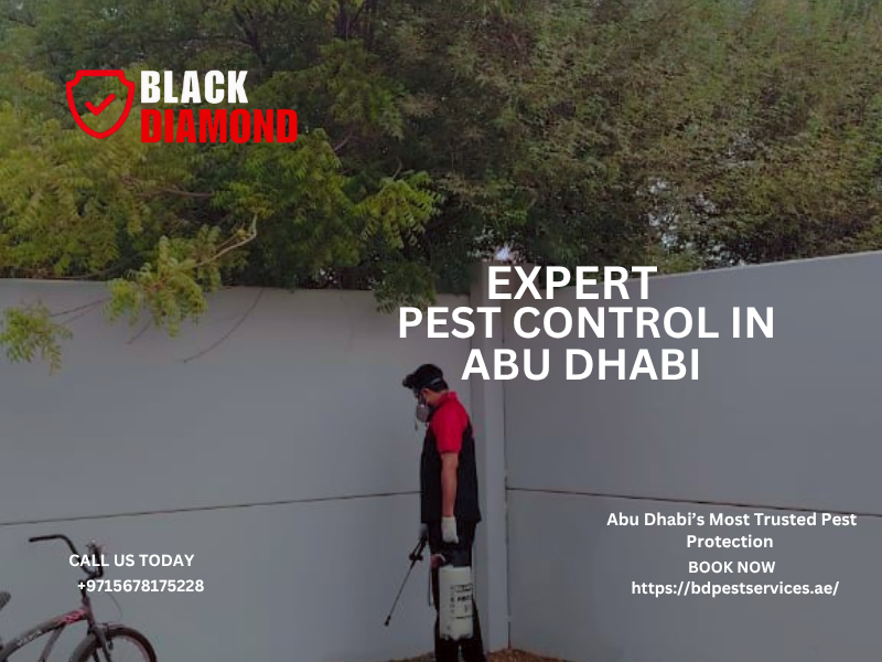 Protecting Homes, Ensuring Peace — The Best Pest Control in Abu Dhabi.