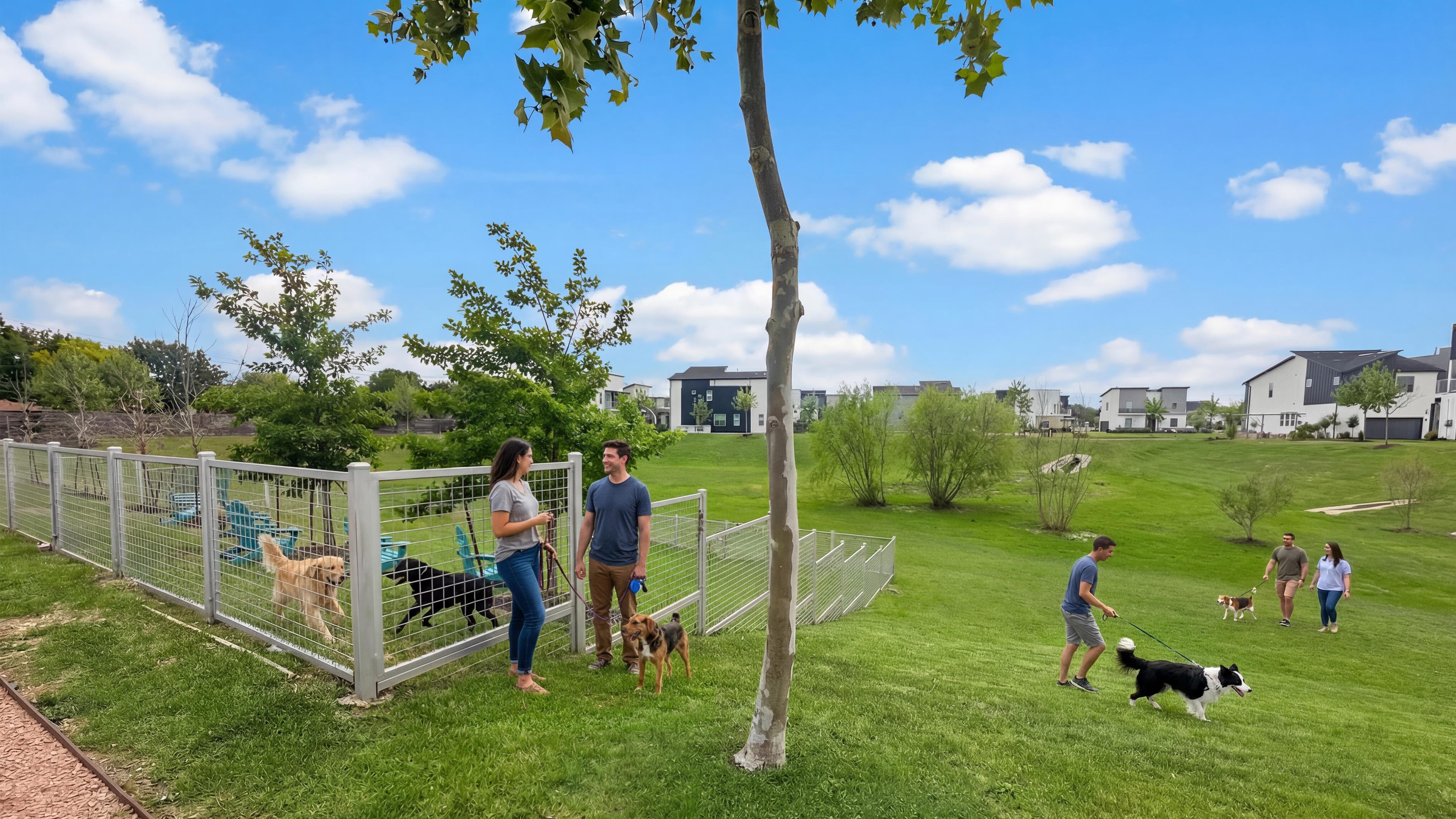 Avondale dog park and open lawn with neighborhood views