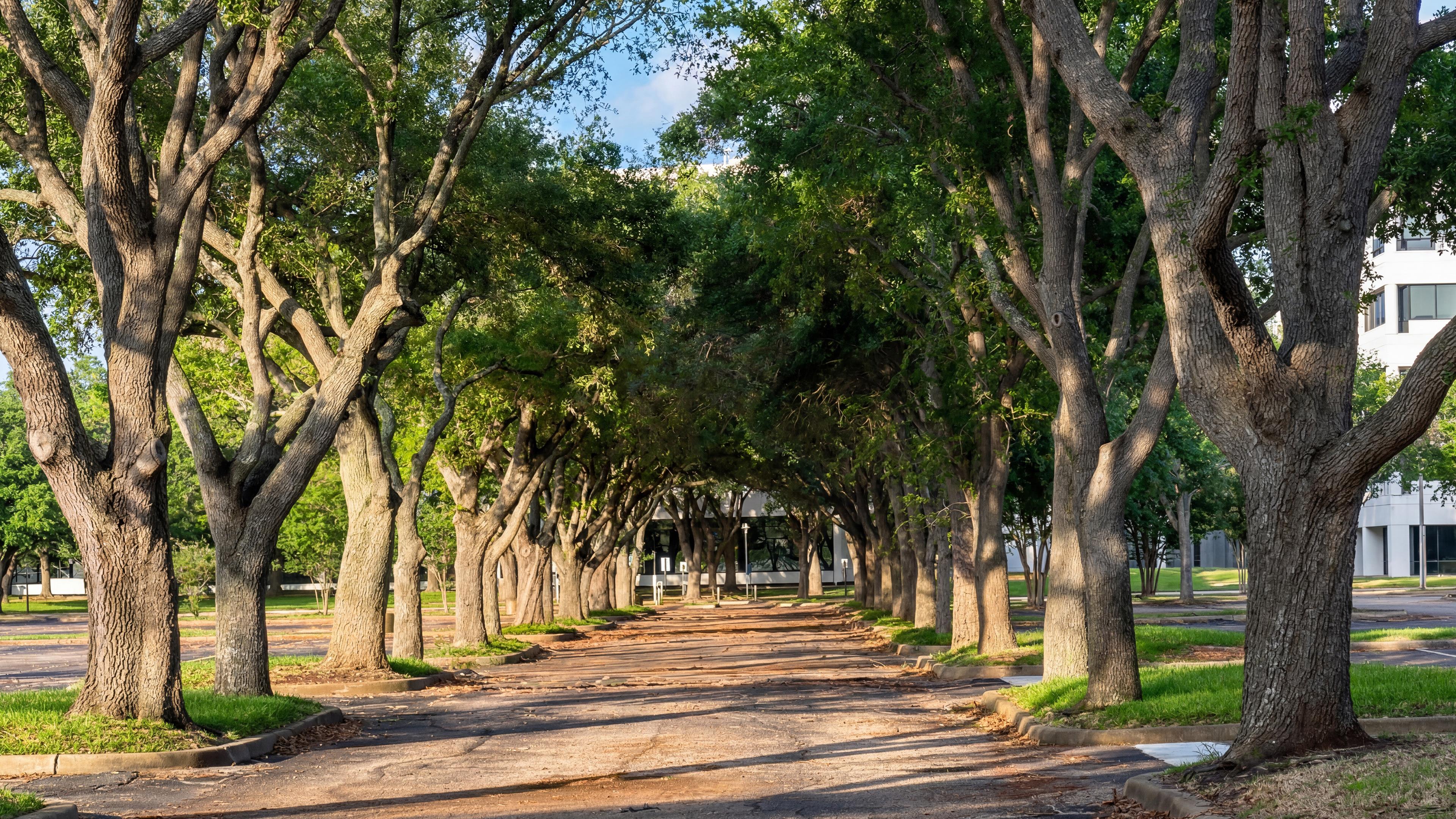 Lake Pointe Green